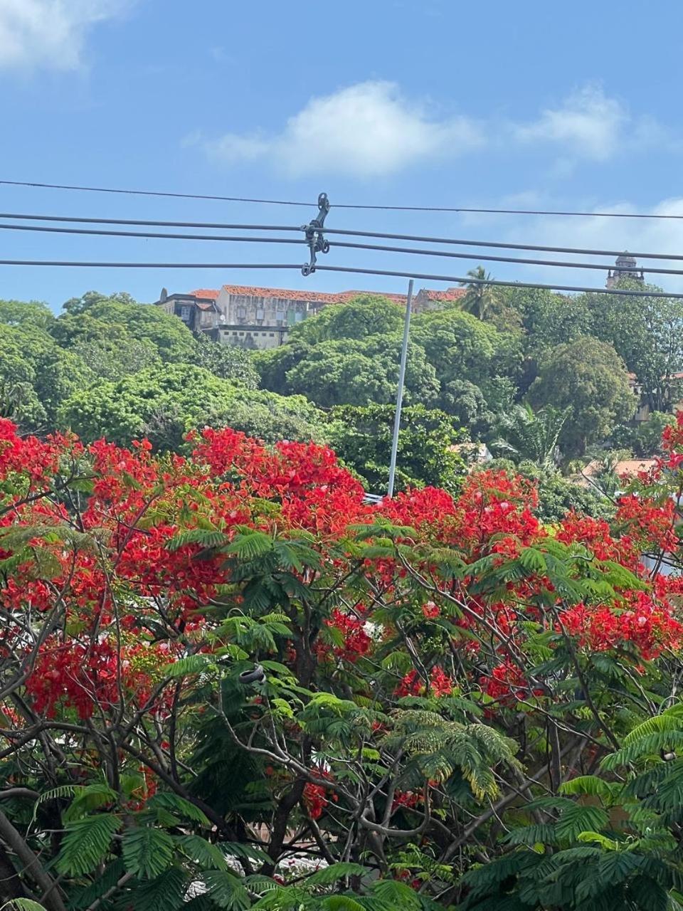 Pousada Do Leo 奥林达 外观 照片