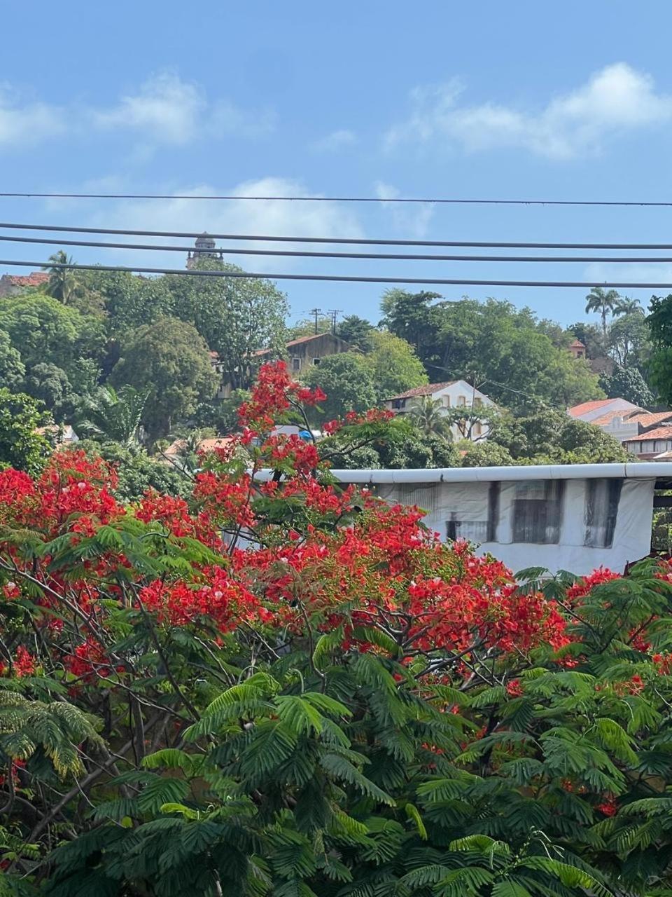 Pousada Do Leo 奥林达 外观 照片